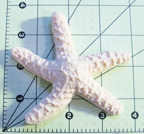 Mold Starfish Silicone Mold for Crafts and Baking