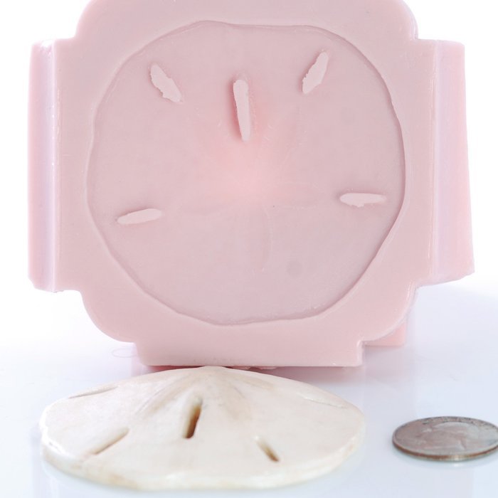 Sand Dollar Silicone Mold Food Safe Fondant, Chocolate, Candy, Resin, Polymer Clay, Soap, Craft, Jewelry Food... N6