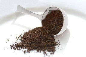 Royal Coffee Scoop - 1 Tablespoon Exact - Stainless Steel Measuring Spoon N6