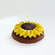 Silikomart Silicone Fancy and Function Bakeware Collection Cake Pan, Ornamental N14