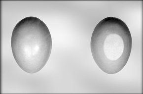 CK Products 5-1/2" 3D Egg Choc Mold