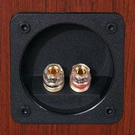 M3 Bookshelf Speaker - Boston Cherry N7