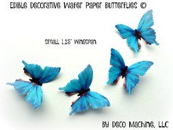 24 TEAL BLUE AQUA Small 1.25&quot; Edible Image Decorative Wafer Paper Butterflies &copy; Butterfly Wedding Cake Cupcake...
