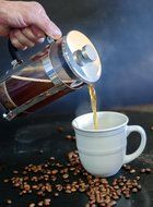 Carnica French Press Coffee Maker | 8-Cup, 34-Ounce Capacity | Clear Glass Carafe w/ Stainless-Steel Accents |... N5