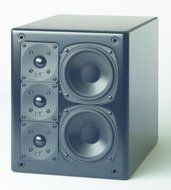 M&amp;K Sound MPS2510P-R Monitor Loudspeaker - Black