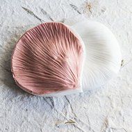 Silicone mold Rose Petal Ribbed. All-purpose Veiner Mold for gumpaste flower leaves for cake decorating, chocolate... N4
