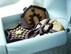 Christmas Cookies Silicone Mold N2