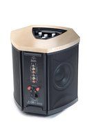 MartinLogan Depth i High-Performance Triple 8-Inch Servo-Control Subwoofer (Single, Birds Eye Maple) N3