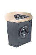 MartinLogan Depth i High-Performance Triple 8-Inch Servo-Control Subwoofer (Single, Birds Eye Maple) N4