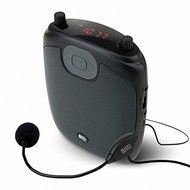 Britz Accessories BA-S4 Louder - Share the Voice and Music, Loudspeaker, FM, MP3