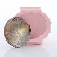 Silicone Mold Sea Shell Food Safe Fondant, Chocolate, Candy, Resin, Polymer Clay, Soap, Craft, Jewelry Food Mold. N5