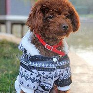 Pink Lizard Christmas Snowflake Pocket Pet Hoodie Jumpsuit Dog Cat Coat N5