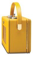 Roberts Radio R250 Leather Cross Yellow Gold panel with back light From JPN