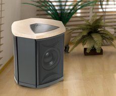 MartinLogan Depth i High-Performance Triple 8-Inch Servo-Control Subwoofer (Single, Birds Eye Maple) N5