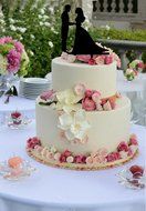 Ecape Acrylic Cake Topper of Engagement and Wedding with Groom Holding Bride Black Pack of 1 N12