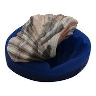 First Impressions Molds S214 Silicone Mold, Shell N2