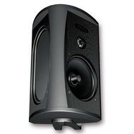 Definitive Technology AW 5500 All Weather Speakers with W Adapt Wireless Streaming Adapter (Black)