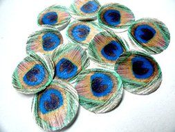 24 Green Feathered Edible Peacock Feathers SMALL Set - Cake and Cupcake Toppers, Decorations for Weddings Birthdays... N2