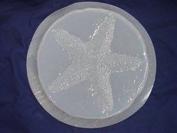 Round Starfish Concrete Plaster Stepping Stone Mold 1105