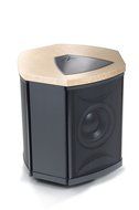 MartinLogan Depth i High-Performance Triple 8-Inch Servo-Control Subwoofer (Single, Birds Eye Maple) N6
