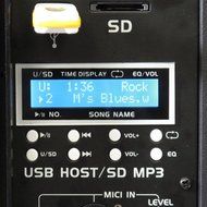 Podium Pro PP1204CA1 600 Watts Band DJ PA Karaoke Active Powered 12-Inch Loud Speaker with USB/SD Card Readers N4