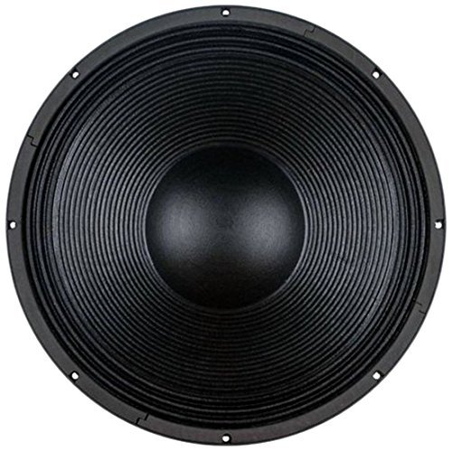 B&C R18IPAL 18-Inch High Power Woofer With Neodymium Magnet Waterproof ...