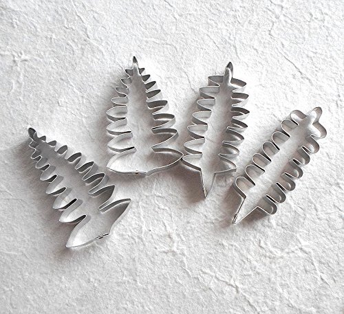 Set of Silicone mold Fern Leaf and 4 cutters N5