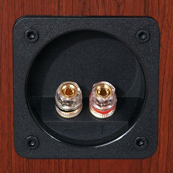 M3 Bookshelf Speaker - Boston Cherry N7