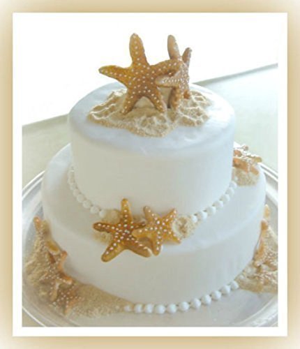 Mold Starfish Silicone Mold for Crafts and Baking N5