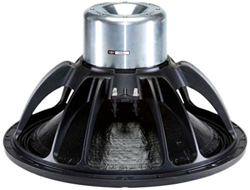 B&C R18IPAL 18-Inch High Power Woofer with Neodymium Magnet Waterproof Cone Both Sides 2 Ohms N2