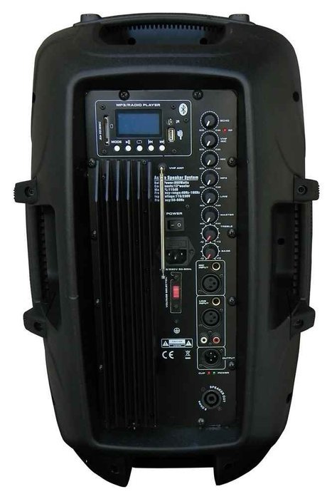 12 Inch MP3 Wireless Powered Speaker System