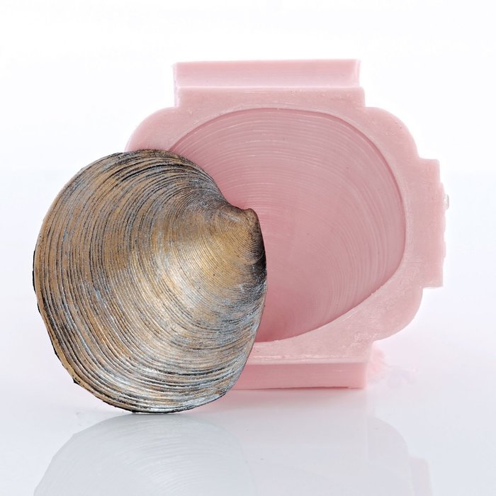 Silicone Mold Sea Shell Food Safe Fondant, Chocolate, Candy, Resin ...