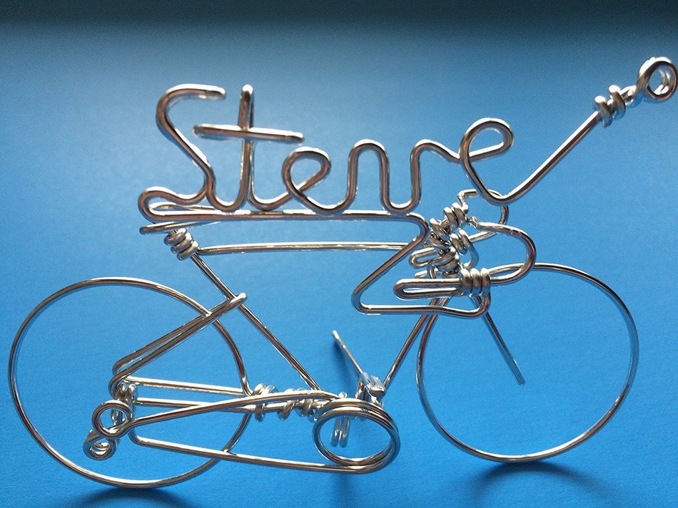 Handmade Personalized Gifts For Cyclists ~Add Your Own Name on Bicycle as Personal Creations Ornaments ~Custom... N5