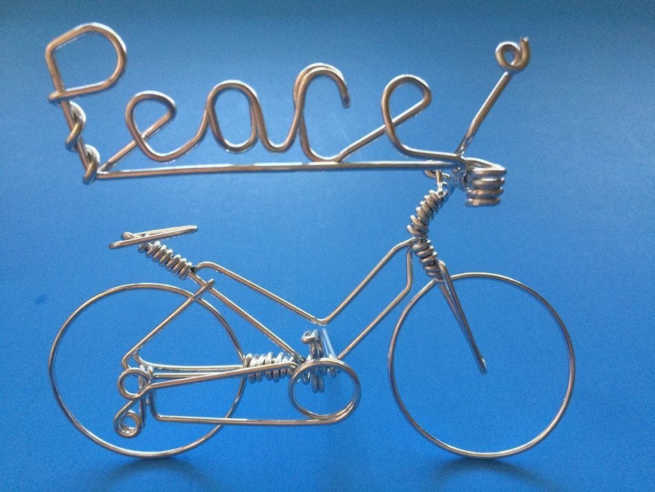 Handmade Personalized Gifts For Cyclists ~Add Your Own Name on Bicycle as Personal Creations Ornaments ~Custom... N6