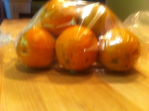 Bread Loaf Bags Pack of 100 with 100 Free Bread Ties! N2