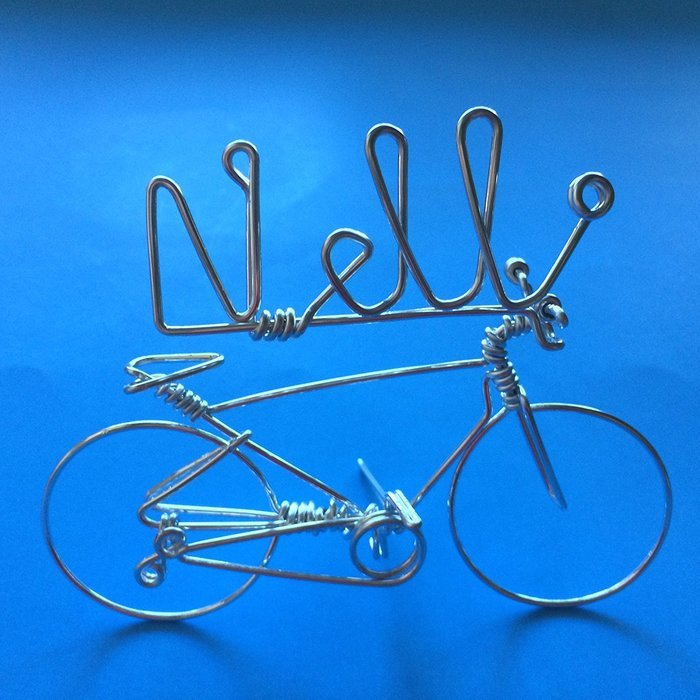 Handmade Personalized Gifts For Cyclists ~Add Your Own Name on Bicycle as Personal Creations Ornaments ~Custom... N12
