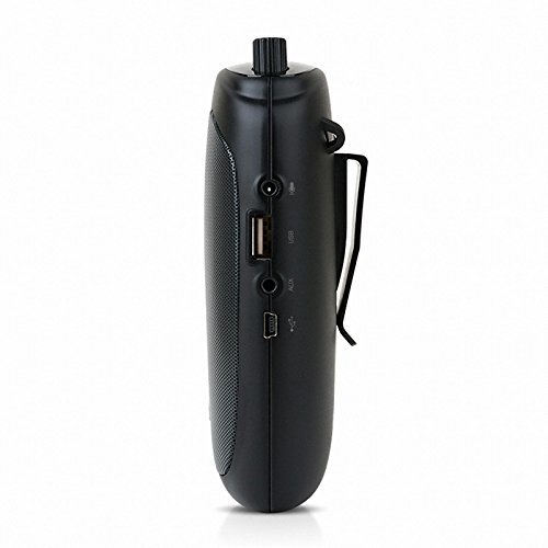Britz Accessories BA-S4 Louder - Share the Voice and Music, Loudspeaker, FM, MP3 N4