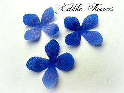 24 ROYAL DARK BLUE PURPLE Flowers Edible Decorative Wafer Paper Flowers&copy; Small 1.25&quot; Size Edible Image Cake Cupcake...