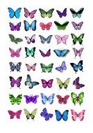 Cakeshop 40 x Mixed Colour Butterflies Edible Cake Toppers