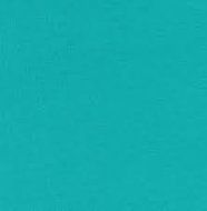 Eureka AirSpeed One Bagless Upright Vacuum Teal Blue