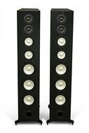 M100 Floorstanding Speaker - Black Oak
