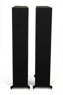 M100 Floorstanding Speaker - Black Oak N2