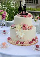 Ecape Acrylic Cake Topper of Engagement and Wedding with Groom Holding Bride Black Pack of 1 N25