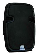 12 Inch MP3 Wireless Powered Speaker System N5