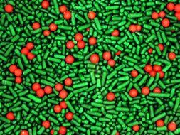 SweetGourmet Kerry&#039;s Holly Berry Mix - Christmas Sprinkles &amp; Nonpareils (12oz) N6
