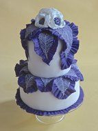 SugarVeil&reg; 2-pack of 3.4 oz SugarVeil Confectionery Icing N5