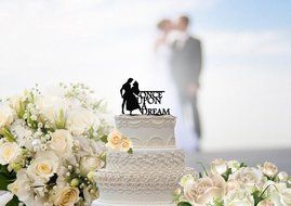 Once Upon A Dream Sleeping Beauty Inspired Wedding Cake Topper