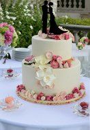 Ecape Acrylic Cake Topper of Engagement and Wedding with Groom Holding Bride Black Pack of 1 N32