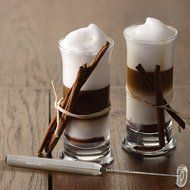 Savvy Coffee Handheld Milk Frother Wand with Stand N5