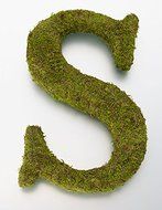 Lillian Rose Moss Letter for Home Decor, 15-Inch, Monogrammed S